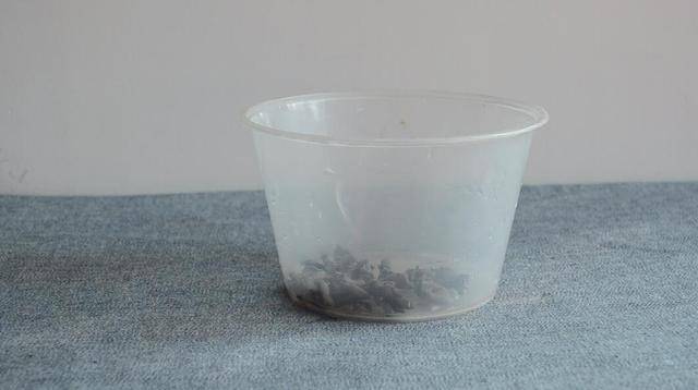 圓形打包盒蓋子上戳幾個洞 放冰箱裡太實用了 看到的人都誇好
