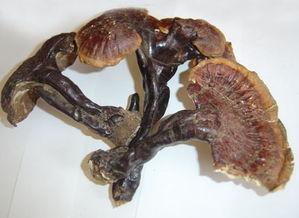 糖尿病別慌！巧用筷子揉揉手，通便排毒、降血糖！好處多多