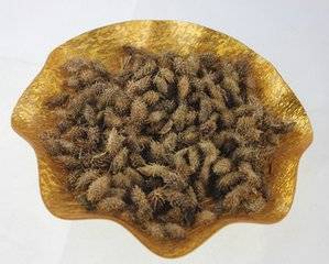 被鼻炎折磨了 39 年，原來蒼耳子才是鼻炎的剋星，輕鬆搞定！
