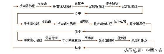 手太陰肺經何以「起於中焦」?而肝經卻非「止於中焦」？