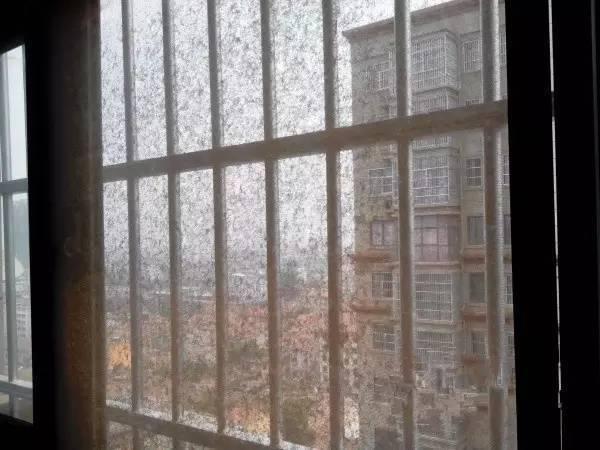 紗窗用了一整年灰塵太厚風都吹不進來？教你一個小絕招，不用拆下來也能洗乾淨！
