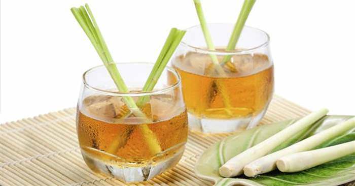 「檸檬香茅茶」很厲害！對人體有7大好處，降膽固醇、排毒、緩解關節疼痛，比吃保健品還強