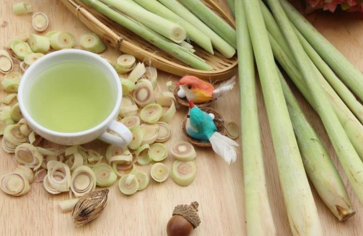 「檸檬香茅茶」很厲害！對人體有7大好處，降膽固醇、排毒、緩解關節疼痛，比吃保健品還強