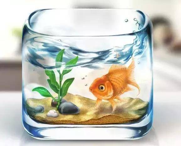 過年別送這6樣東西，別人送也不能要，不然大小災難纏著你