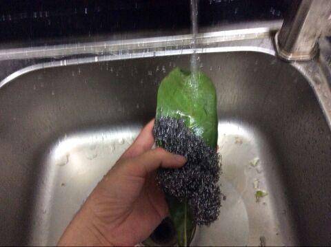 強力止咳水：1片葉子煮水喝，不管咳嗽、流鼻涕，見效快，為家人收藏！