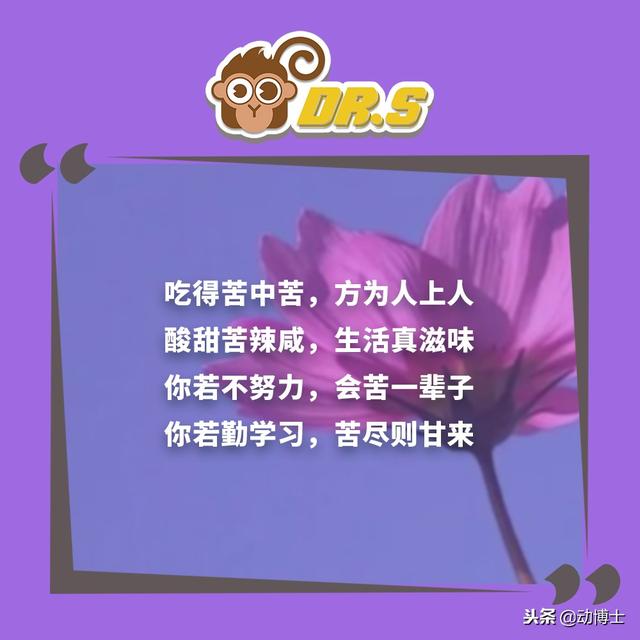 無論你孩子多大，都該把這些話轉給他看看，早看早受益！