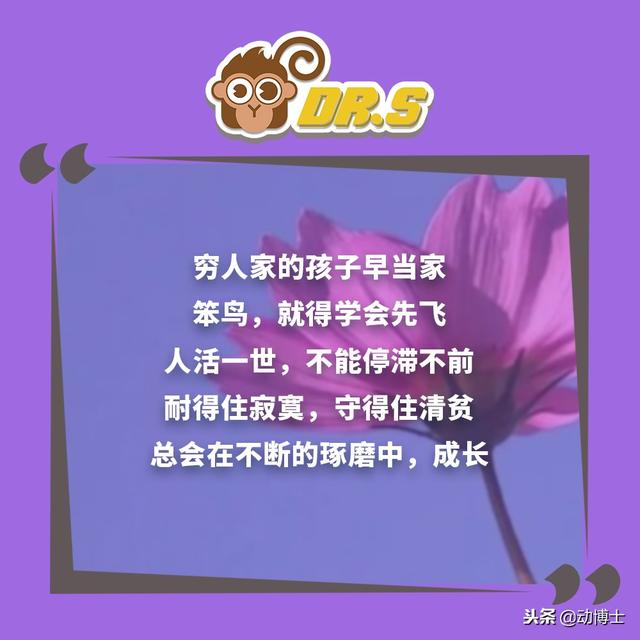 無論你孩子多大，都該把這些話轉給他看看，早看早受益！