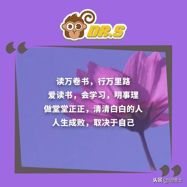 無論你孩子多大，都該把這些話轉給他看看，早看早受益！