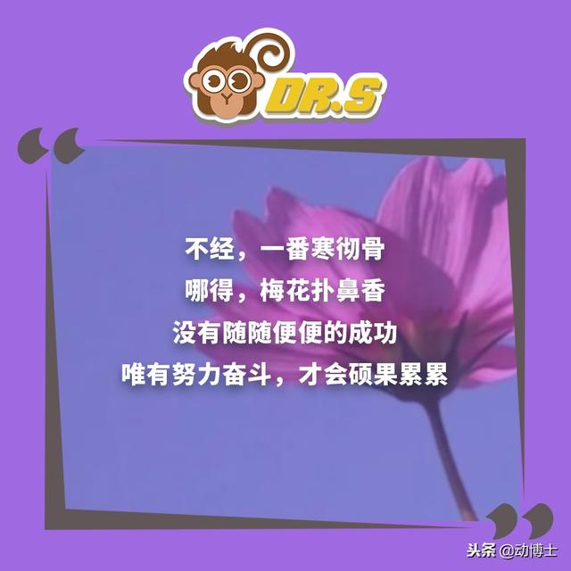 無論你孩子多大，都該把這些話轉給他看看，早看早受益！