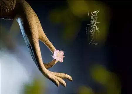 舍+得！（一定要讀）