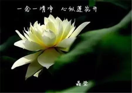 舍+得！（一定要讀）