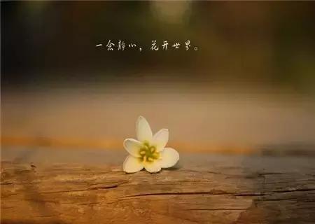 舍+得！（一定要讀）