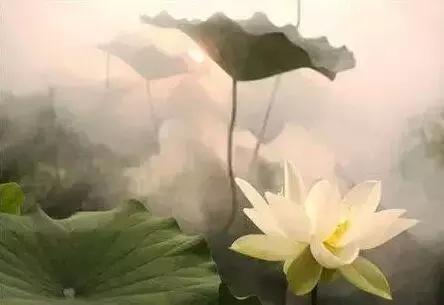 舍+得！（一定要讀）
