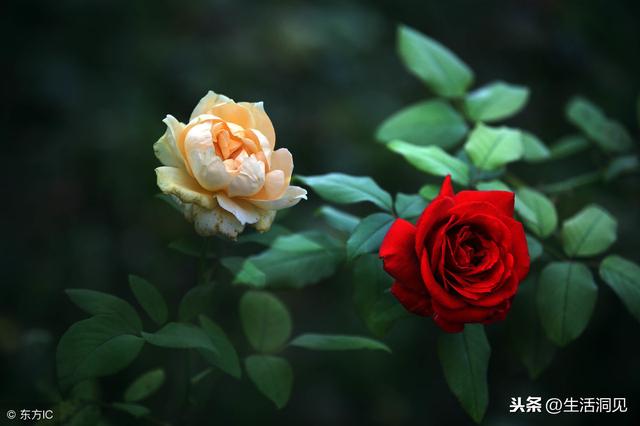 人到中年，堅持做好這三件事，幸福自然來