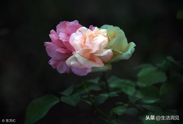 人到中年，堅持做好這三件事，幸福自然來