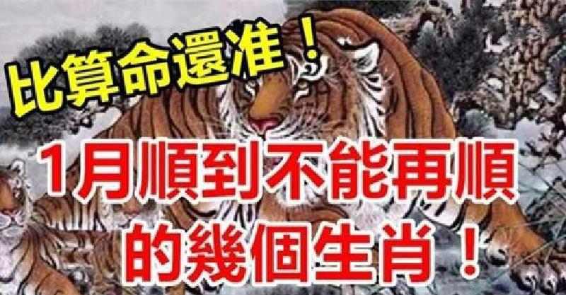 比算命還准！一月份開始順到不能再順的幾個生肖 