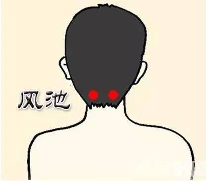 記住10大養生要穴，各類疾病就都會自己調養了 