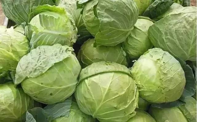 血管洗個澡，健康活到老！每天"洗"1次，現在知道還不晚！