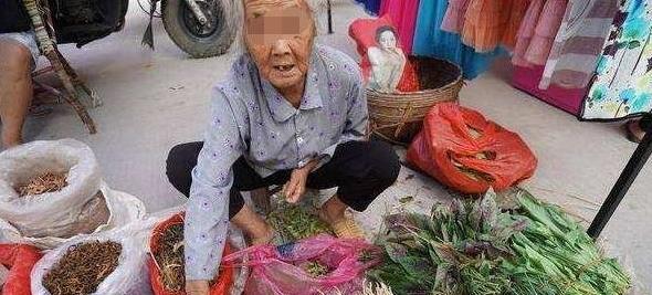 女孩幫助賣菜奶奶，每次都多給零錢，直到奶奶坐上豪車，女孩笑了