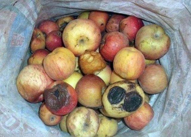 她懷孕時回鄉「養胎」，公婆總是給她吃「爛水果」，她心裡很難過，直到有一天看見了「這一幕」！ 
