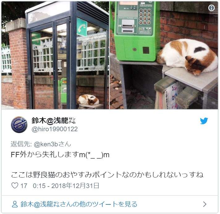 超好睡《電話亭里的貓》或許給了人類更多不要拆電話亭的理由...