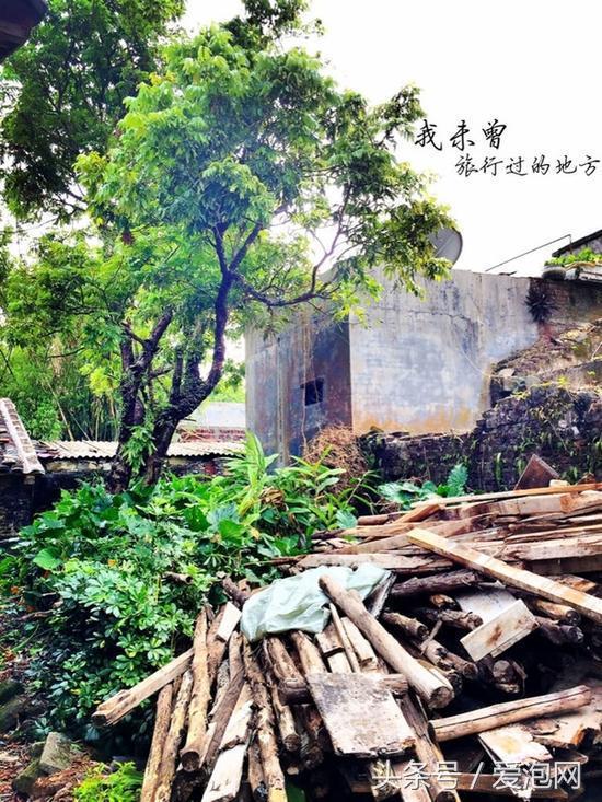 從最美邊境線到最美高速，你能看見廣西不同的風景！