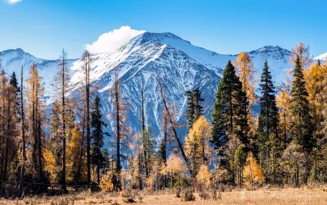四姑娘山旁風景，景色不輸九寨溝、稻城亞丁！美醉成仙，未商業化