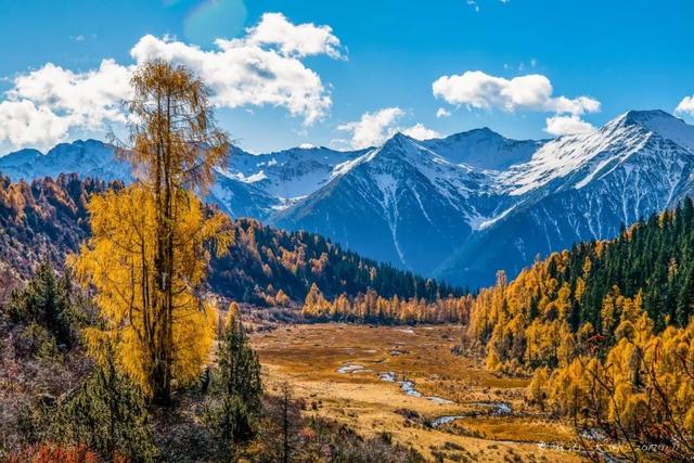 四姑娘山旁風景，景色不輸九寨溝、稻城亞丁！美醉成仙，未商業化