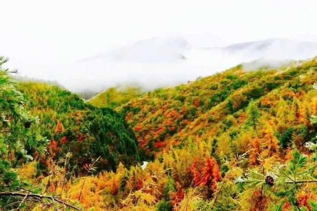秦嶺最深處，這座海拔最高小城，私藏一個靜美香格里拉，冬季賞雪