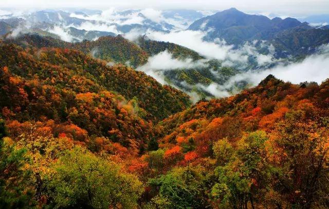 秦嶺最深處，這座海拔最高小城，私藏一個靜美香格里拉，冬季賞雪