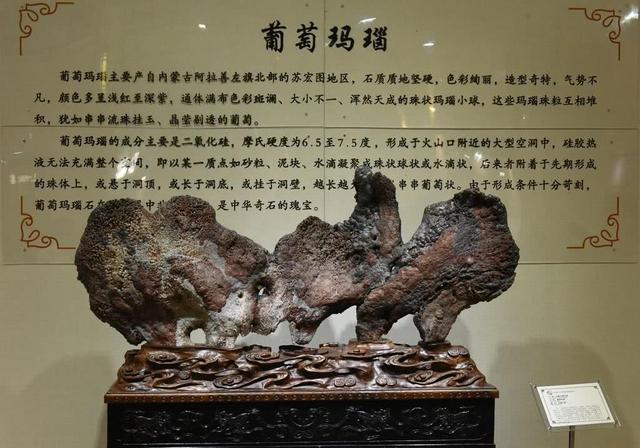 一年只存在幾天的旅行地！上百萬人不惜穿越千里，只為此生無憾！