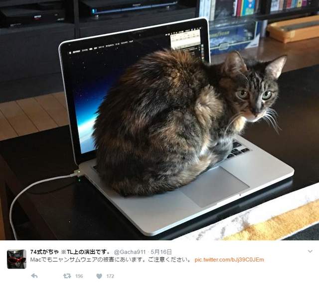 電腦一中這種毒就沒救了　日網友分享「災情」：它都不下來啦QQ