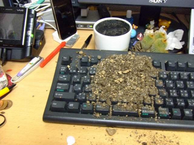 電腦一中這種毒就沒救了　日網友分享「災情」：它都不下來啦QQ