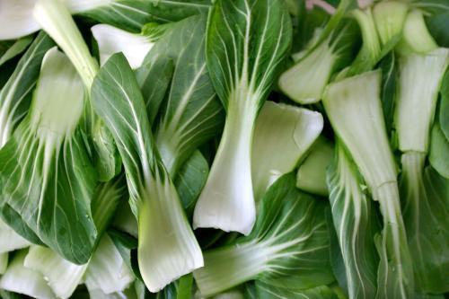 冬天吃油菜好處多多，補足氣血，淡化皺紋，你愛吃嗎？