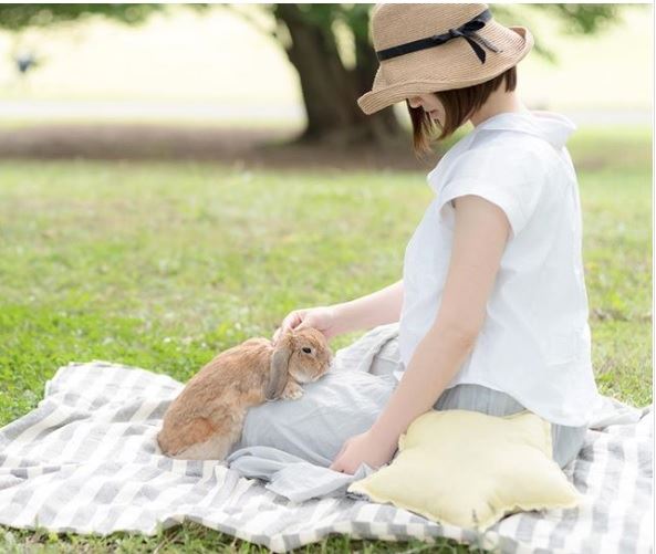 「IG最潮兔」身穿主人手作行頭　一換藍衣根本彼得兔真兔版❤