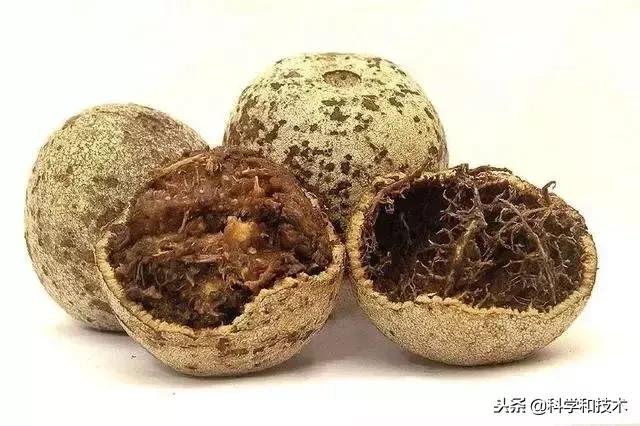 東南亞9大奇葩水果，第3個在中國最受歡迎！