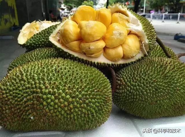 東南亞9大奇葩水果，第3個在中國最受歡迎！