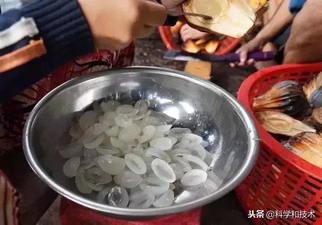 東南亞9大奇葩水果，第3個在中國最受歡迎！