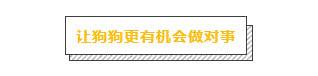 無效的打罵懲罰，對狗來說就是虐待