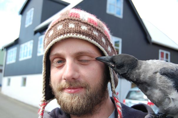 烏鴉根本是動物界裡最狂的流氓　看到「屁屁」還會有忍不住的怪癖