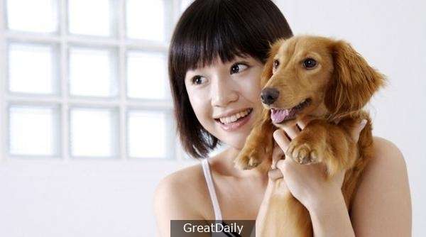 如何判斷你的狗狗愛不愛你？他這樣的動作是喜歡你。讓狗狗最開心的互動方式，你知道嗎？