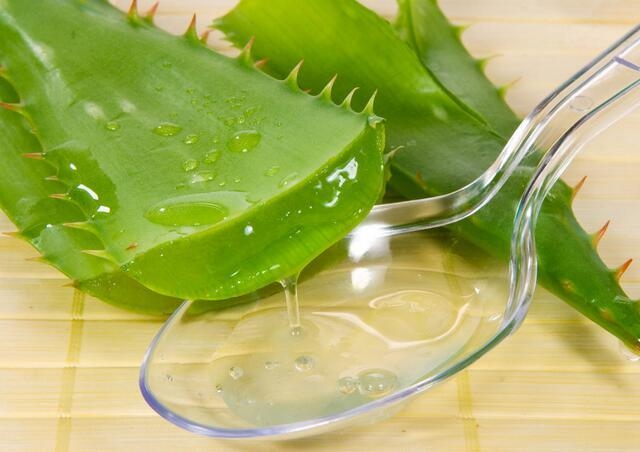 他趁蚊子吸血吸超爽時拿剪刀靠近，神手一剪後出現的「超狂畫面」讓40萬網友High爆了！