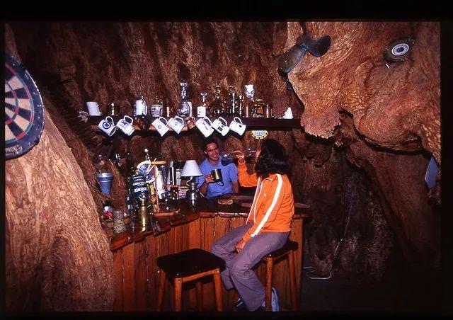 一棵活了6000年的樹，直徑21公尺可以開店鋪，「內有乾坤」吸引大量遊客