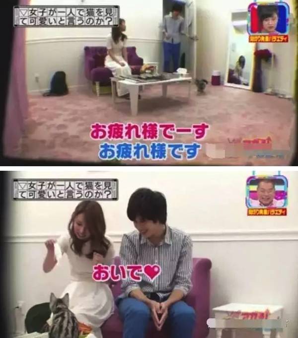 節目為了測試「日本女生到底有多做作」，讓她們跟小鮮肉獨處一室，接著攝影機拍到了「最真實的一面&#168;&#168;！」