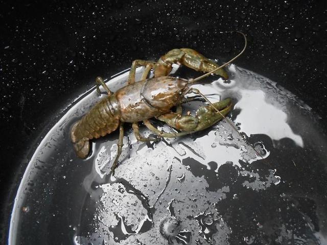 不敢相信，這組超現實照片竟然不是PS出來的 