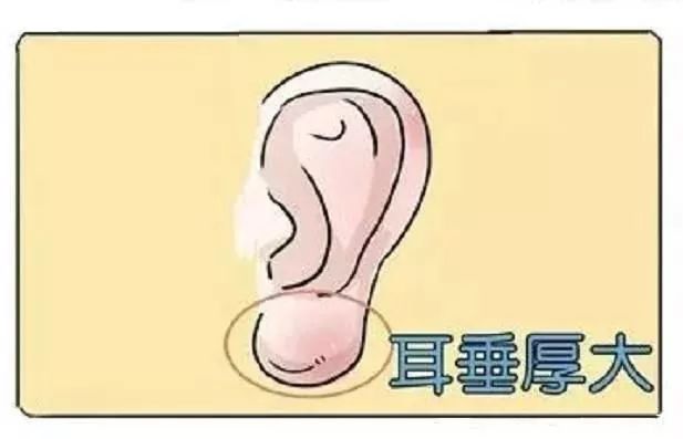 這8種面相的女人10有8、9富貴命，旺夫旺子女，最有福氣 !