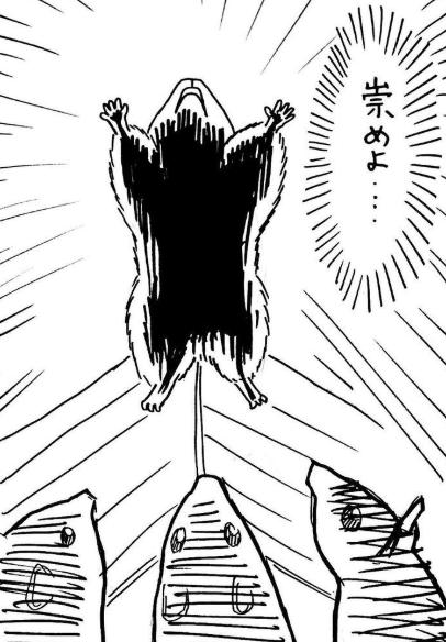 日本網友吐槽：我家倉鼠是不是看了什麼奇怪的動畫？