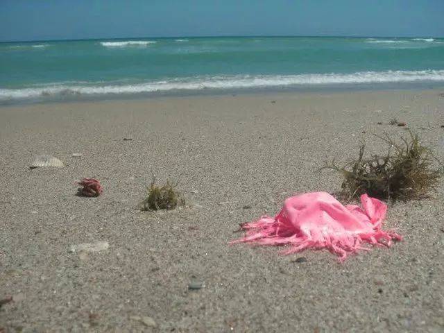 他們探勘世界最深的海底，拍下了這些令人從頭涼到腳的畫面