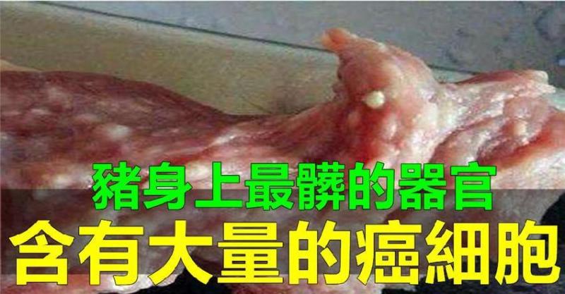 豬身上最髒的「器官」，含有大量的「癌細胞」，別忽視，否則癌症不請自來！