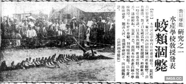 有圖有真相！　蛟龍曾在1934年於遼寧出現